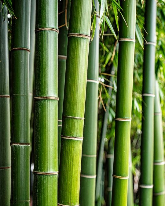 By Velcheva BAMBOO aromatinė žvakė