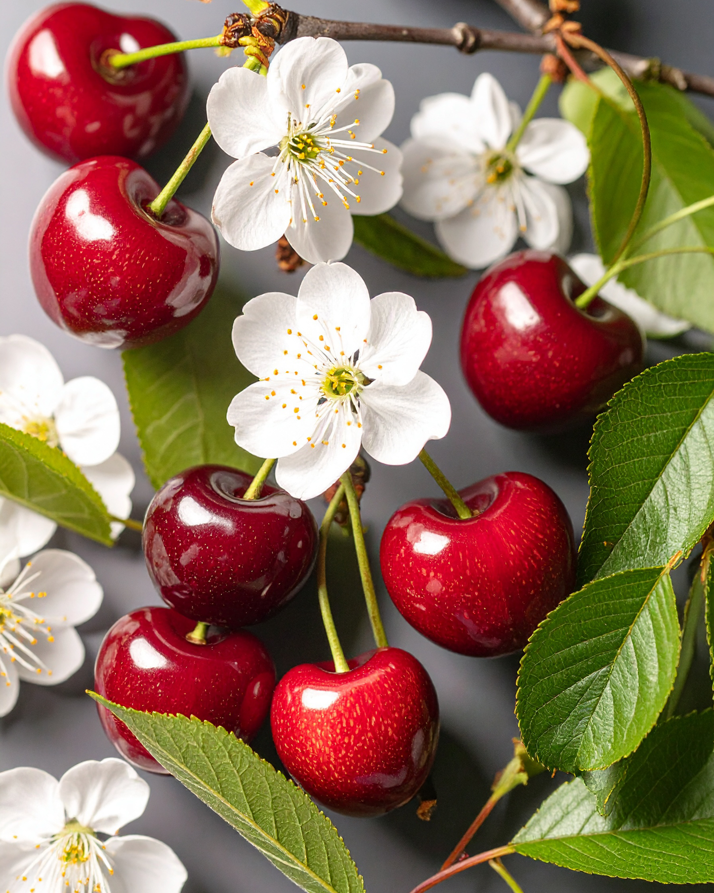 By Velcheva CHERRY BLOSSOM interjero kvepalai