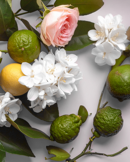 By Velcheva CAROLINA aromatinė žvakė